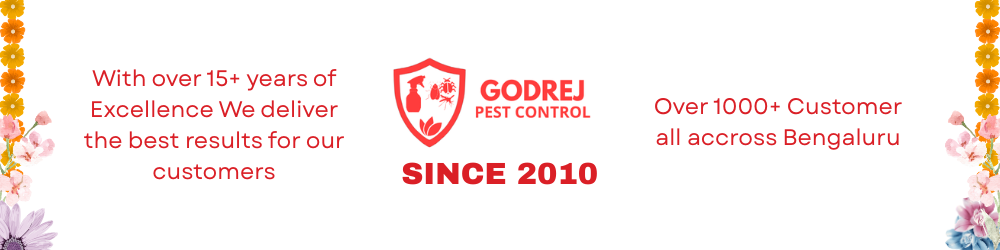 Clean and pest-free kitchen environment.